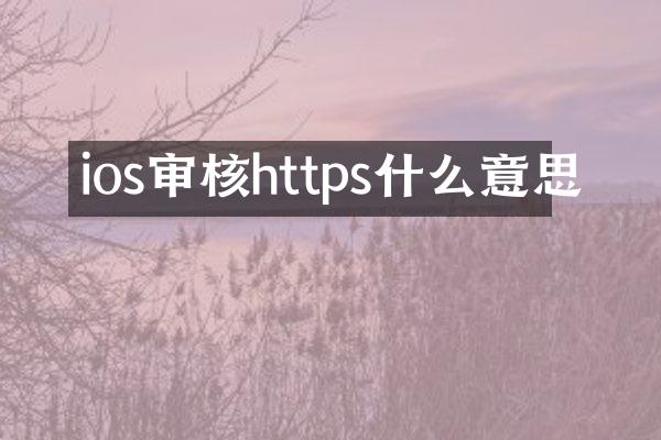 ios审核https什么意思