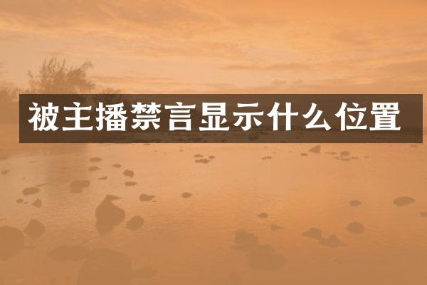 被主播禁言显示什么位置