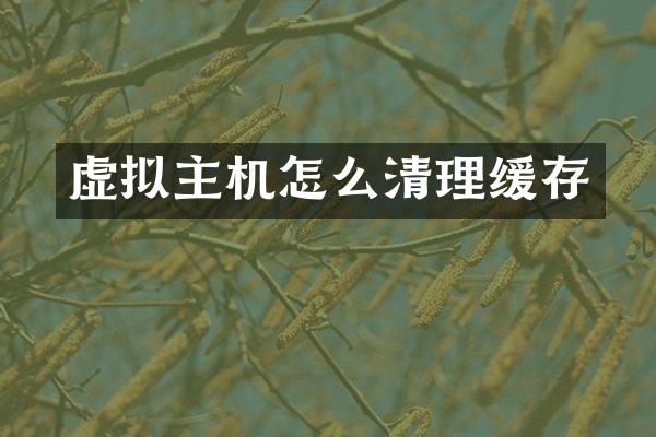 虚拟主机怎么清理缓存