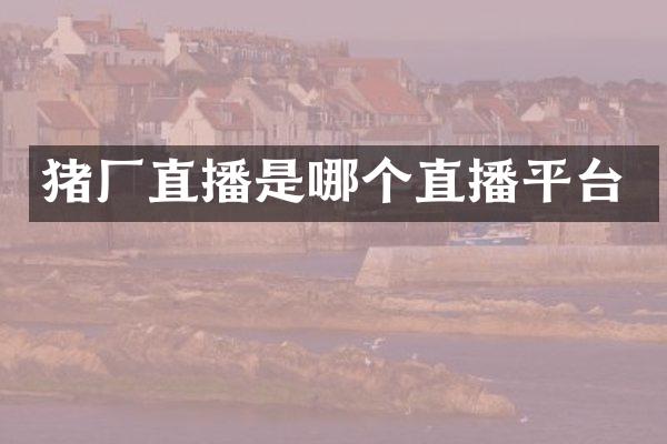 猪厂直播是哪个直播平台