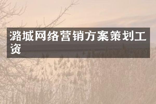 潞城网络营销方案策划工资