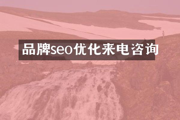 品牌seo优化来电咨询