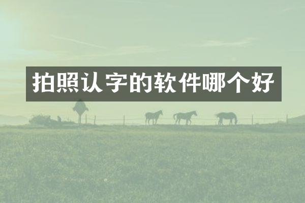 拍照认字的软件哪个好