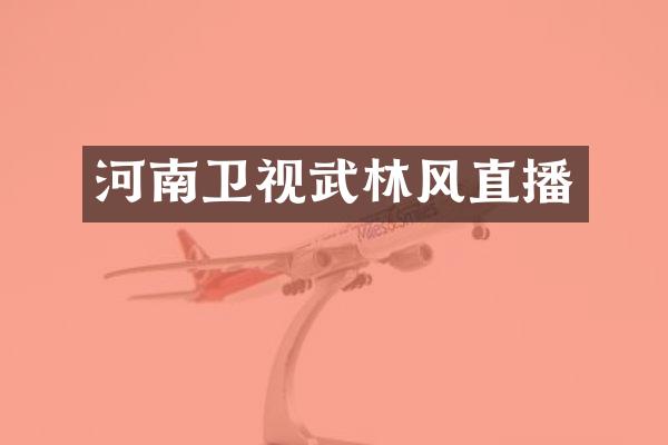 河南卫视武林风直播