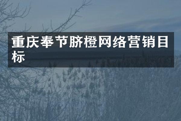 重庆奉节脐橙网络营销目标