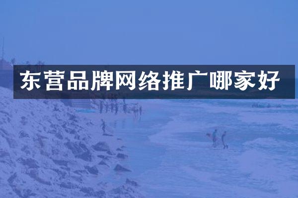 东营品牌网络推广哪家好