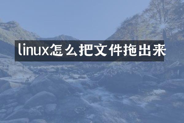 linux怎么把文件拖出来