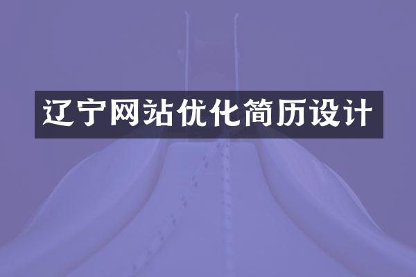 辽宁网站优化简历设计
