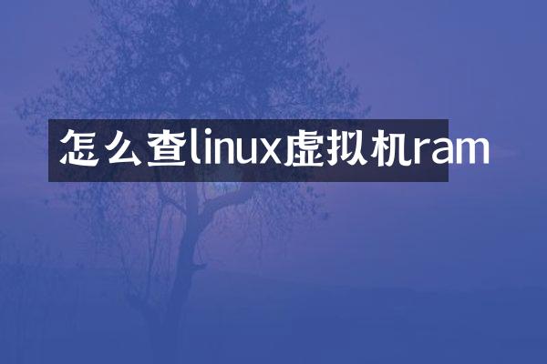 怎么查linux虚拟机ram