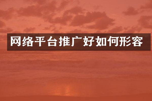 网络平台推广好如何形容