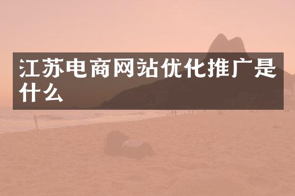江苏电商网站优化推广是什么
