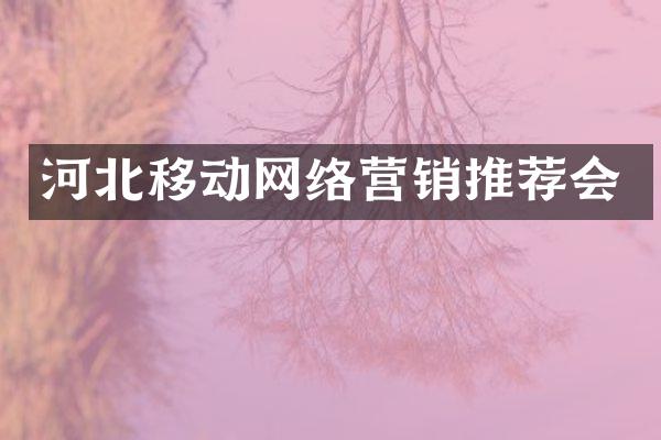 河北移动网络营销推荐会