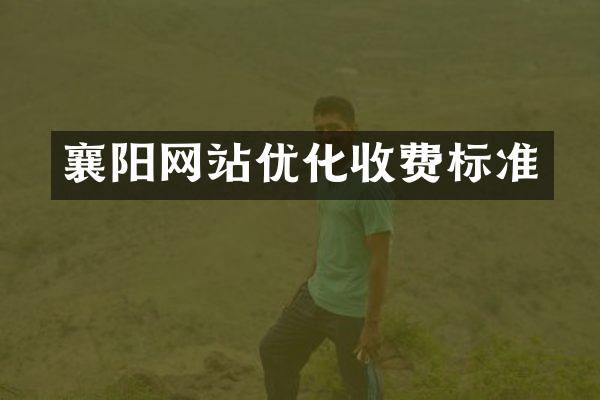 襄阳网站优化收费标准