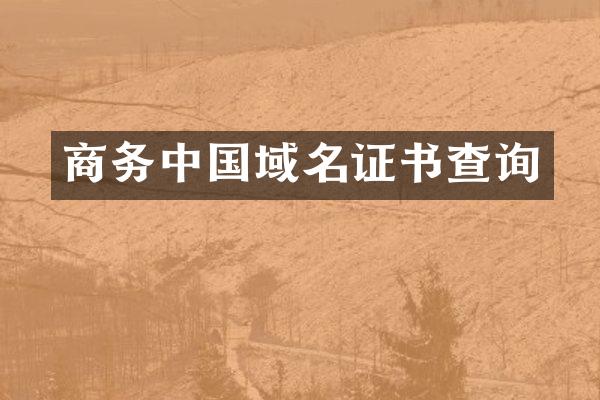 商务中国域名证书查询