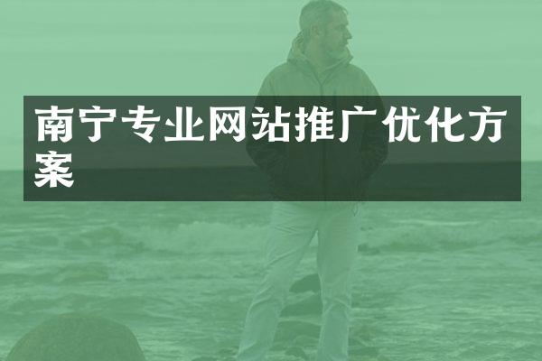南宁专业网站推广优化方案