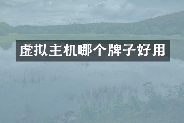 虚拟主机哪个牌子好用