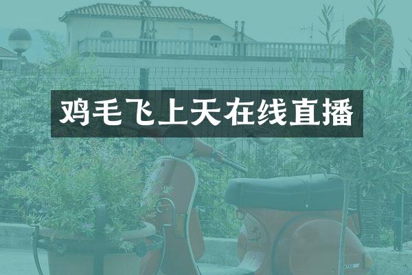 鸡毛飞上天在线直播