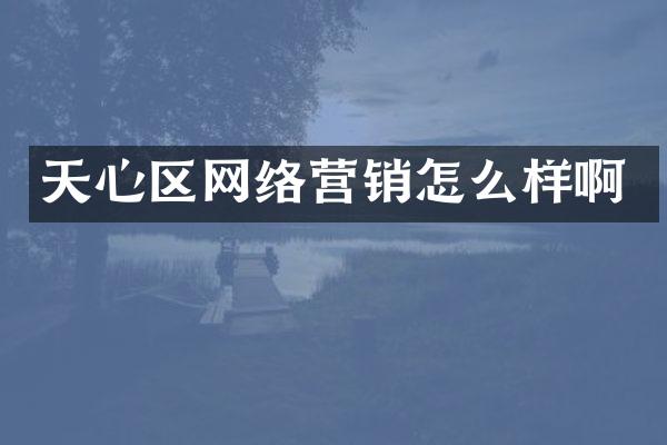 天心区网络营销怎么样啊