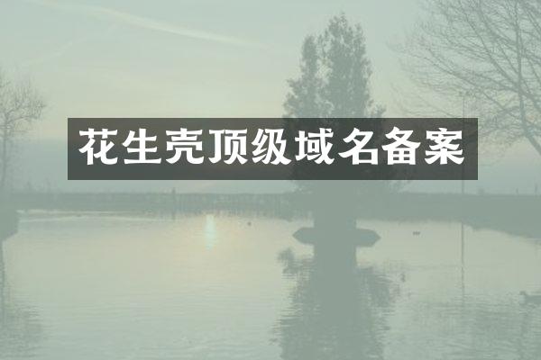 花生壳顶级域名备案