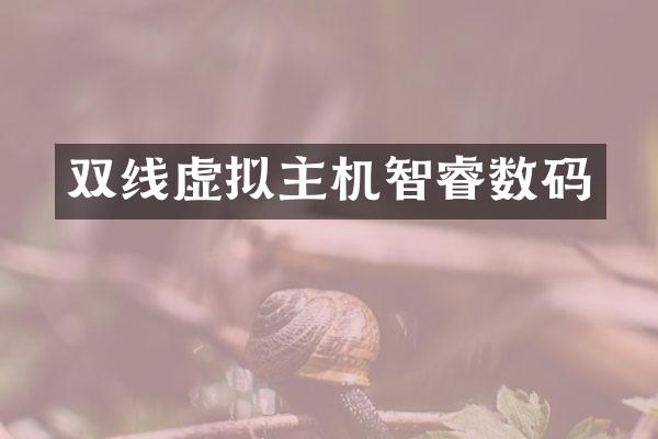 双线虚拟主机智睿数码