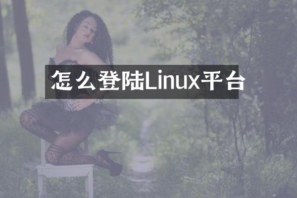 怎么登陆Linux平台