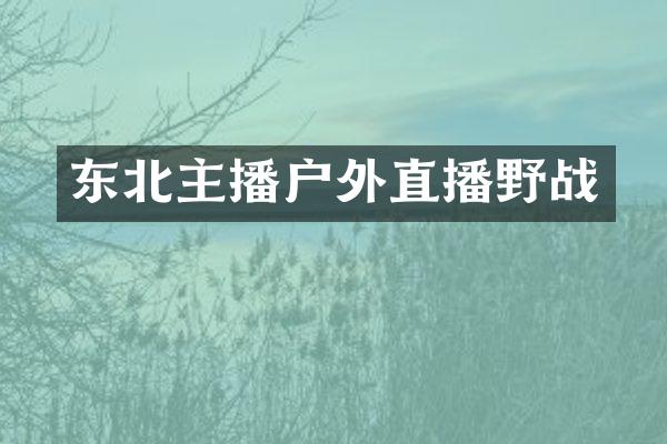 东北主播户外直播野战