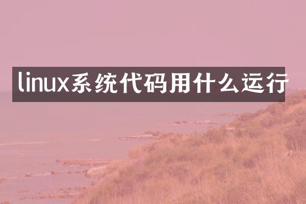 linux系统代码用什么运行