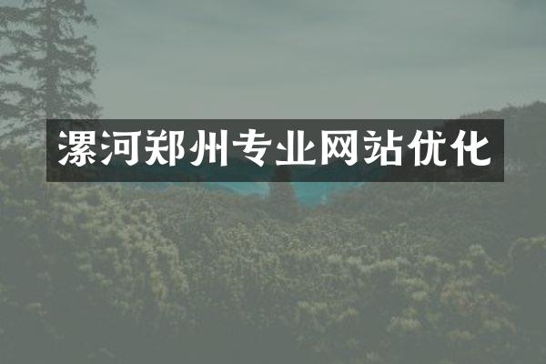 漯河郑州专业网站优化