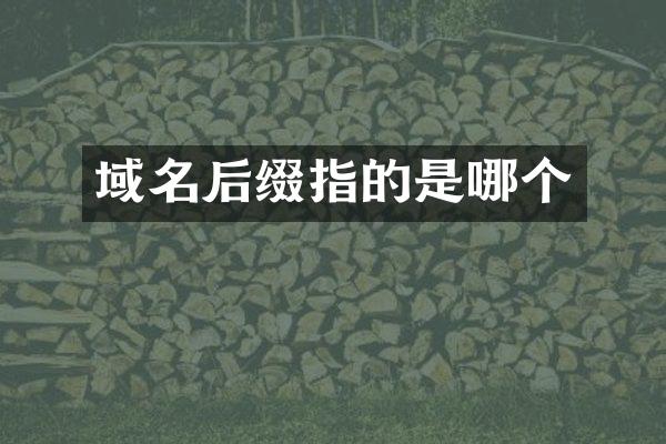 域名后缀指的是哪个