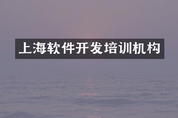 上海软件开发培训机构