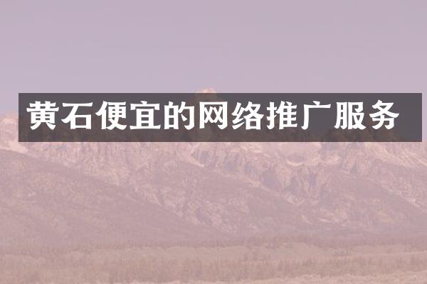 黄石便宜的网络推广服务