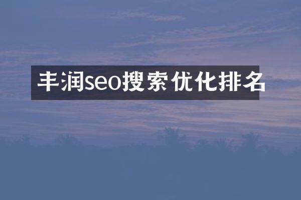 丰润seo搜索优化排名