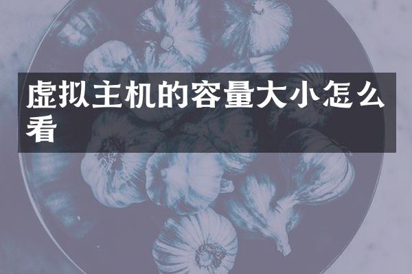 虚拟主机的容量大小怎么看