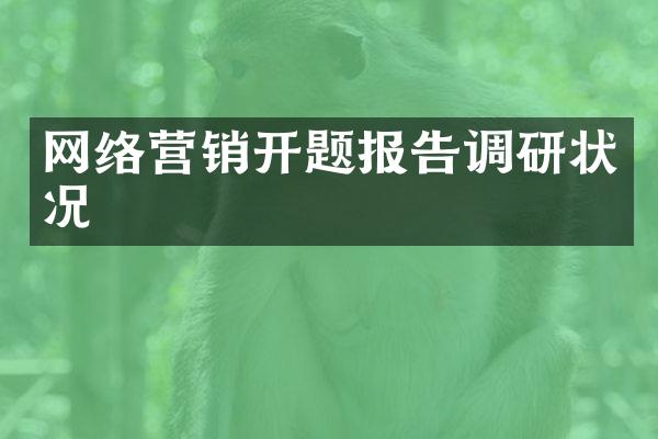 网络营销开题报告调研状况