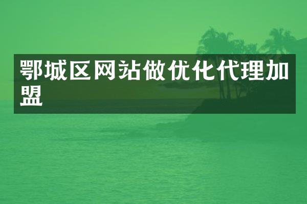 鄂城区网站做优化代理加盟