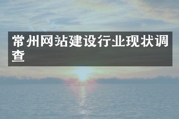 常州网站建设行业现状调查
