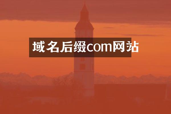 域名后缀com网站