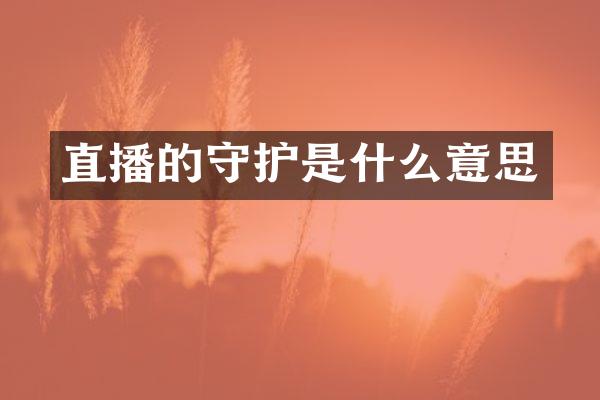 直播的守护是什么意思