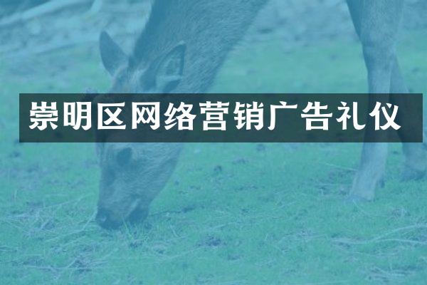 崇明区网络营销广告礼仪