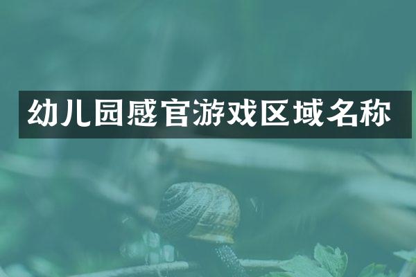 幼儿园感官游戏区域名称