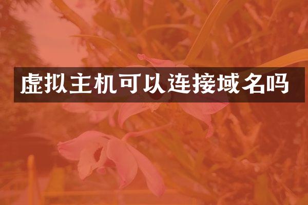 虚拟主机可以连接域名吗