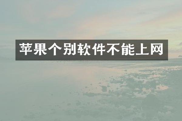 苹果个别软件不能上网