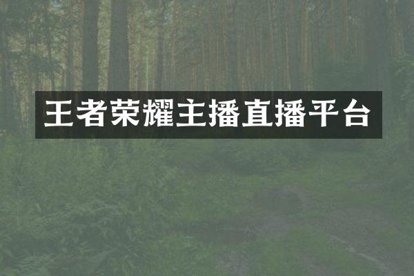 王者荣耀主播直播平台