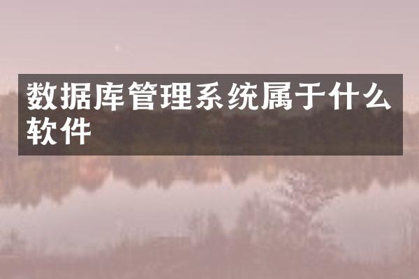数据库管理系统属于什么软件