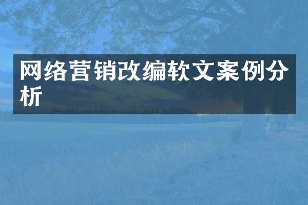 网络营销改编软文案例分析
