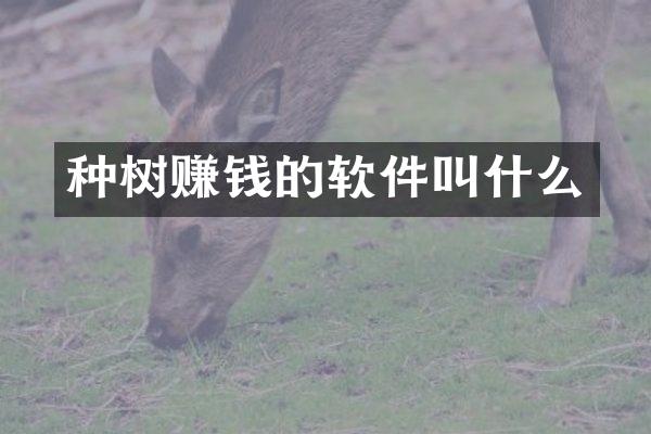 种树赚钱的软件叫什么