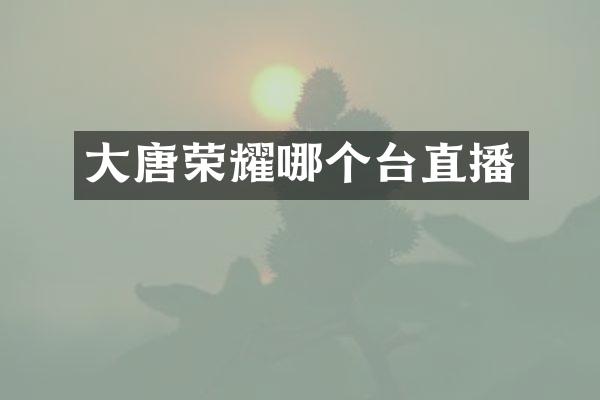 大唐荣耀哪个台直播