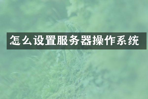 怎么设置服务器操作系统