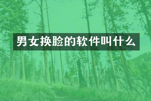 男女换脸的软件叫什么