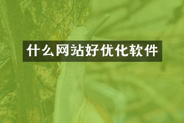 什么网站好优化软件